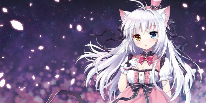 1920x1080 Download Girly Cartoon Neko Girl Wallpaper | Wallpapers.com