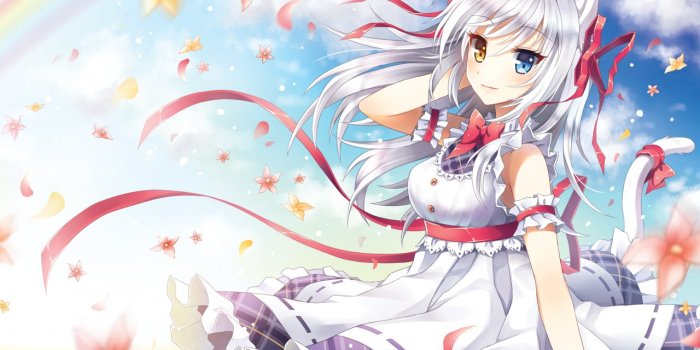 1280x960 Anime Cat Girl High Definition Wallpaper 21361 - Baltana