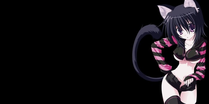 1920x1080 Anime Cat Girl HD Wallpapers Free Download for Desktop PC Laptop
