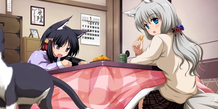 1920x1200 Cat girls wallpaper - Anime wallpapers - #39398