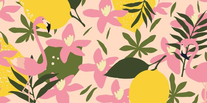 1920x843 Download Get Inspired With A Kate Spade Desktop Wallpaper | Wallpapers.com