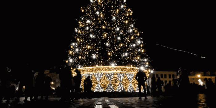 1080x1920 60+ FREE Aesthetic Christmas Wallpapers For A Festive Phone