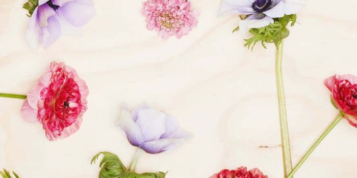 875x1045 Download Shop the latest styles at Kate Spade | Wallpapers.com