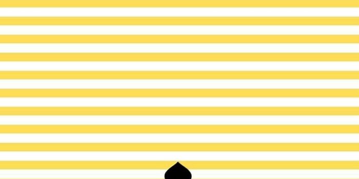 1080x1920 Download Kate Spade Yellow And White Stripes Wallpaper | Wallpapers.com