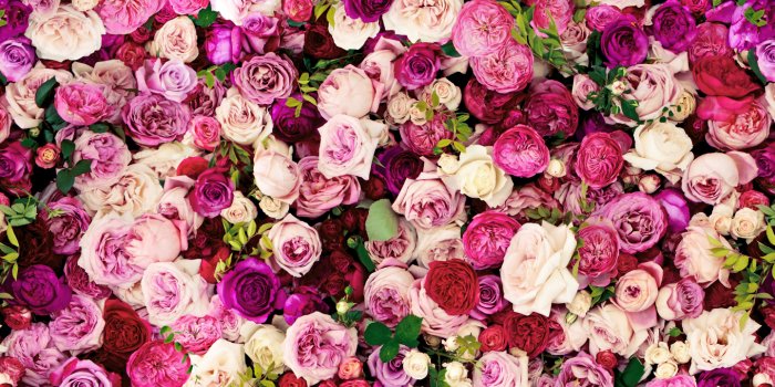 1440x900 Kate Spade | Katalin Rae