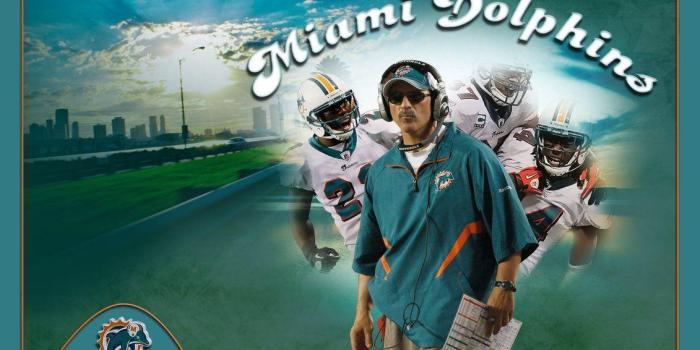 1131x707 Miami Dolphin Wallpapers