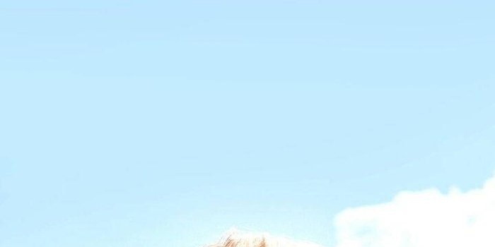 720x1280 Download Cute Bts Jimin Under Sky Wallpaper | Wallpapers.com