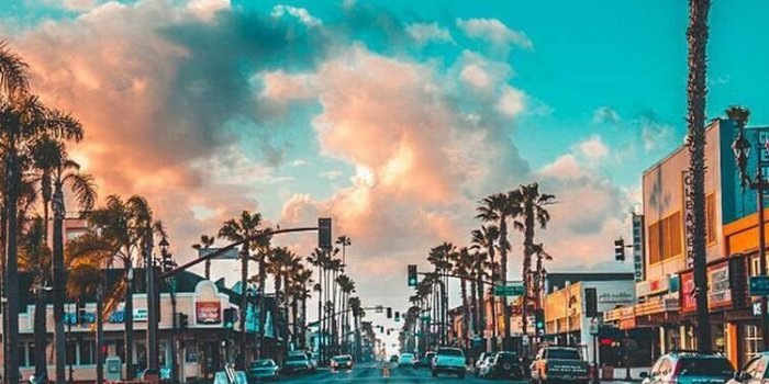 750x1334 Florida Wallpapers Download | MobCup