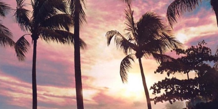 889x1334 heaven-ly-mind: East Coast Park Beach | Beach wallpaper, Beautiful  landscapes, Nature photography