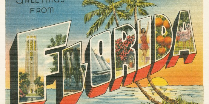 3200x2133 Greetings From Florida Wallpaper Mural - Murals Your Way