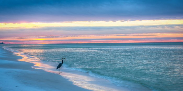 2048x1173 Heron on Florida Gulf Coast Beach HD WALLPAPER - /s/Cinnamon