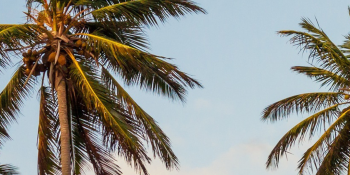 1080x1920 Florida iPhone Wallpaper