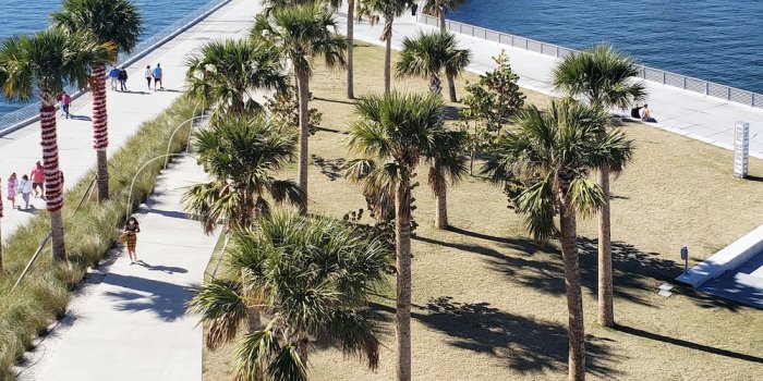 1000x1333 St Petersburg Florida Pictures | Download Free Images on Unsplash