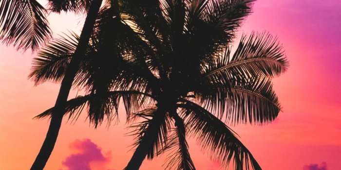 1280x2769 Miami (Florida) | Depth Effect - Wallpapers Central