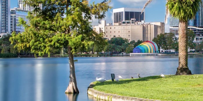 1284x2778 Best Florida iPhone HD Wallpapers - iLikeWallpaper