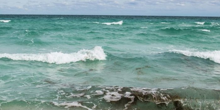 720x1280 Beautiful waves of a sandy beach in Miami Beach, Florida - Beach Wallpapers