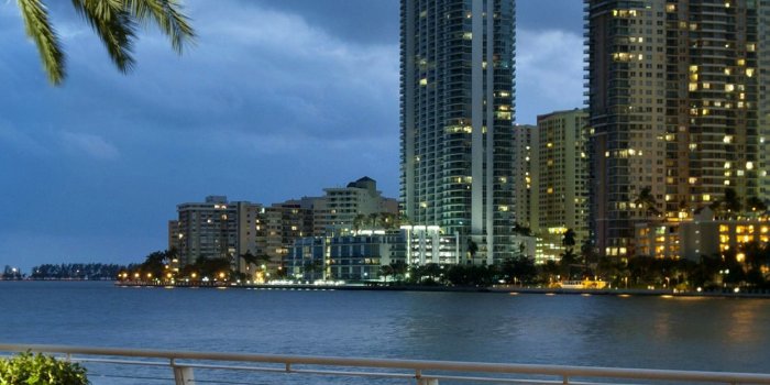 1242x2208 Miami Florida : Palm Trees Tables Wallpaper for iPhone 11, Pro Max, X, 8,  7, 6 - Free Download on 3Wallpapers