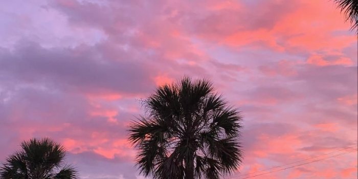 828x1472 St. Augustine Florida #sky #skies #nature #photography | Sky aesthetic,  Sunset pictures, Pretty sky
