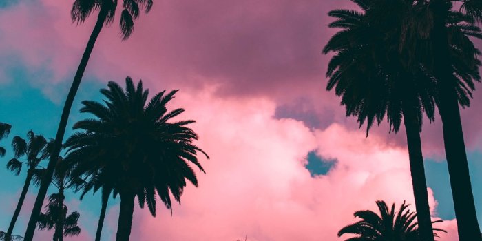 1284x2778 Best Florida keys iPhone HD Wallpapers - iLikeWallpaper