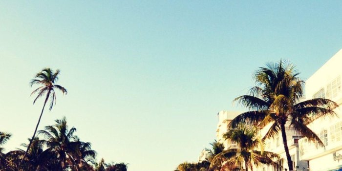 1080x1920 Florida iPhone Wallpapers - Top Free Florida iPhone Backgrounds -  WallpaperAccess