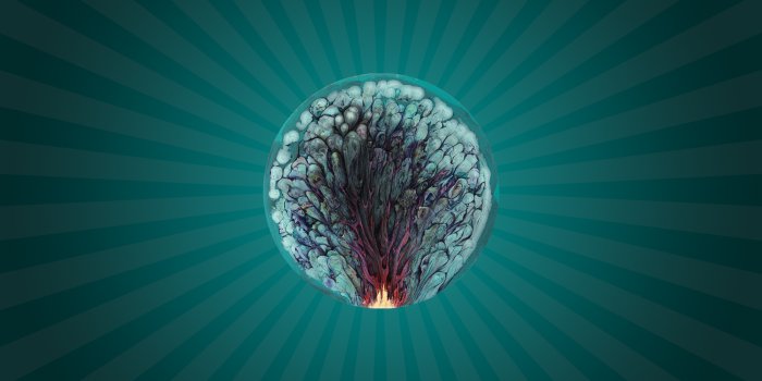 2560x1600 Surreal HD Wallpapers and Backgrounds