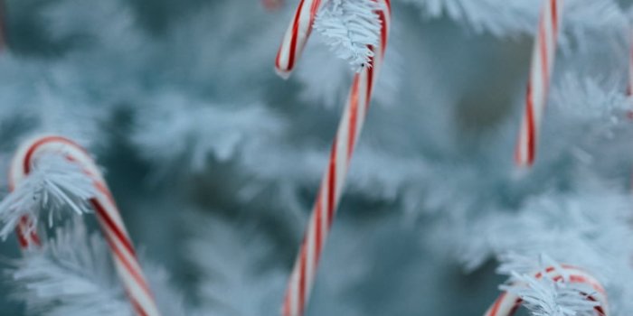 792x1187 iPhone Christmas Wallpapers | POPSUGAR Tech