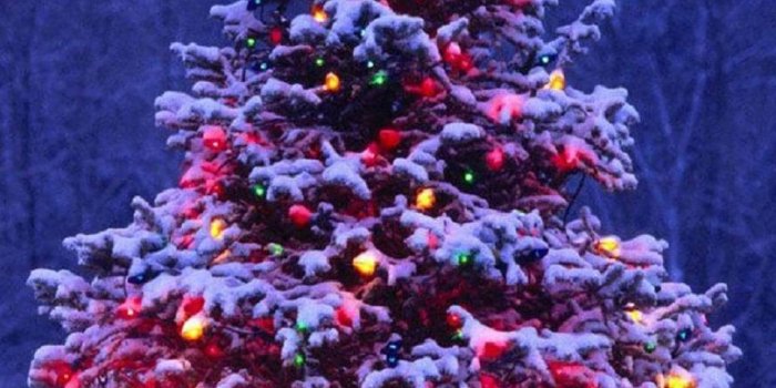 1242x2208 Try to Use 32 Christmas Wallpapers for iPhones