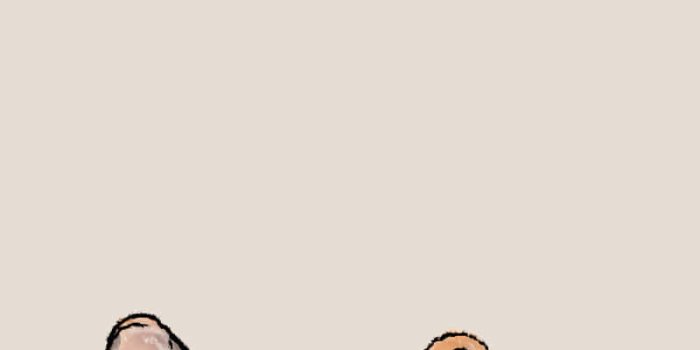 800x1422 Download French Bulldog Drawing Vector