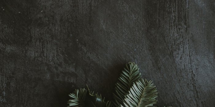 1290x2796 Festive Christmas iPhone wallpaper pack