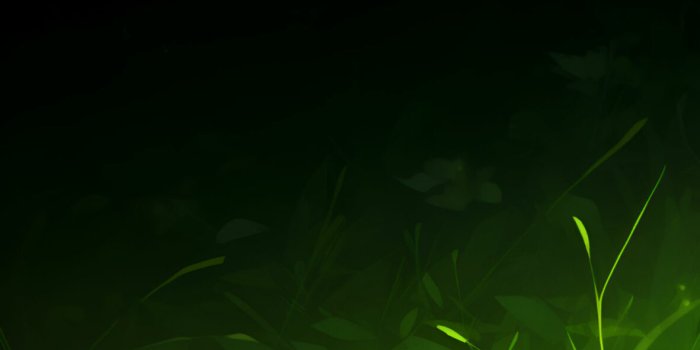 1181x2560 Vibrant Green Grass on Mysterious Black Background Wallpapers - Wallpapers  Clan