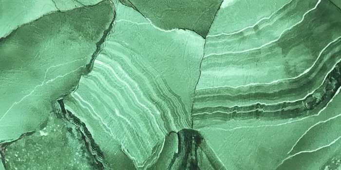 1000x1333 Green Wallpapers: Free HD Download [500+ HQ] | Unsplash