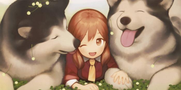 1920x1384 Download Anime Dog Alaskan Malamute Wallpaper | Wallpapers.com