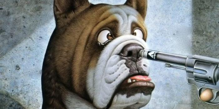 1280x960 Bulldog Anime Wallpaper Flash Sales