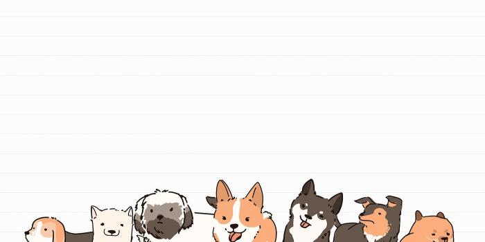 1400x933 Cartoon Dog Computer Wallpapers