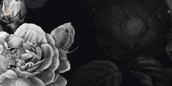 800x1422 100+] Aesthetic Dark Backgrounds | Wallpapers.com