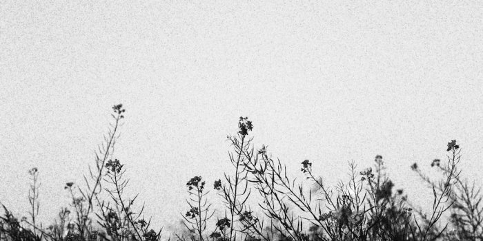 1000x1500 1000+ Dark Aesthetic Pictures | Download Free Images on Unsplash