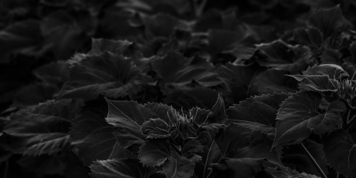 800x1200 33 Aesthetic Dark Wallpapers For iPhone (Free HD Download)