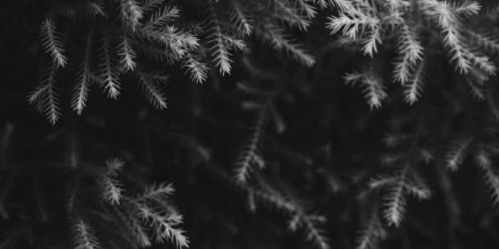 800x1200 33 Aesthetic Dark Wallpapers For iPhone (Free HD Download)