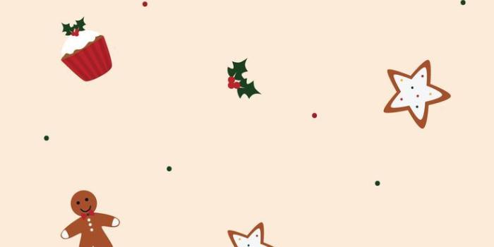 736x1574 Fond écran wallpaper Noël | Fond d'écran téléphone, Fond ecran noel, Fond  d… | Christmas wallpaper ipad, Christmas wallpaper iphone cute, Wallpaper  iphone christmas