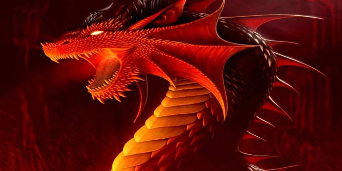 1440x1280 Download Ferocious Fire Red Dragon Wallpaper | Wallpapers.com