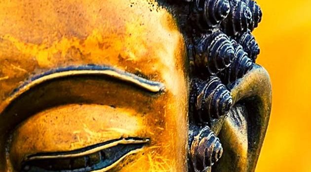630x1280 Download buddha wallpaper by nandhini55 - 826b - Free on ZEDGE™ now. Browse  millions of popular bud… | Buddha wallpaper iphone, Buddha image, Lord buddha  wallpapers