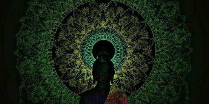 736x1308 Meditating Lord Buddha Wallpaper Download | MobCup
