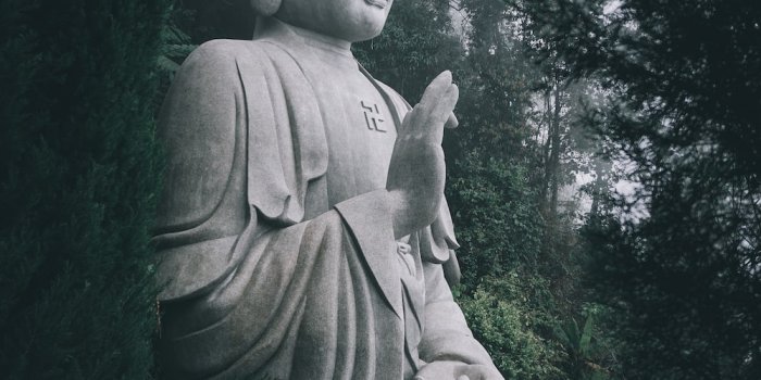 1000x1777 30,000+ Gautam Buddha Pictures | Download Free Images on Unsplash