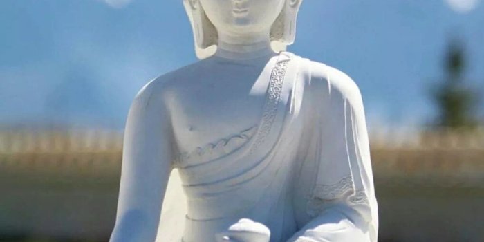 1235x1539 Buddha Wallpapers Download | MobCup