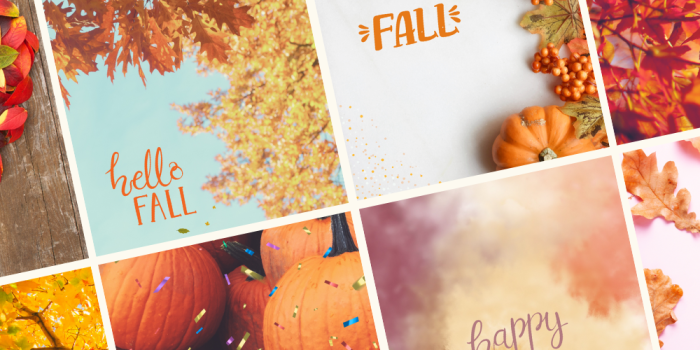 1000x1500 55+ Best Fall Phone Backgrounds (FREE Autumn Wallpaper) - Good Mom Living