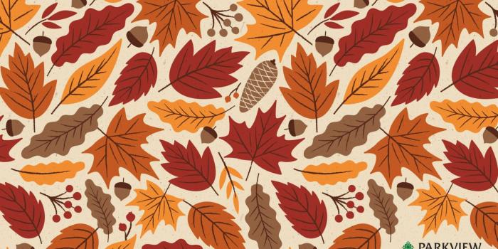 1600x900 Cute backgrounds inspired by fall | Parkview Health