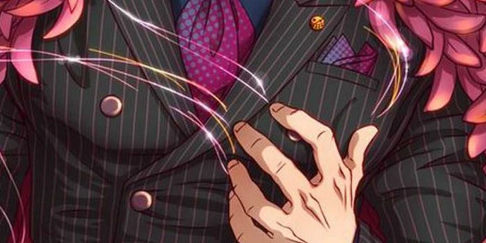 1080x1920 Doflamingo Wallpaper - iXpap