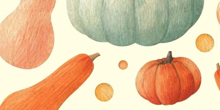 1080x1920 Fall iPhone Wallpaper Backgrounds - Free To Download