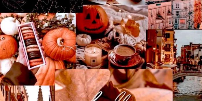 1080x1920 Cute autumn wallpapers | Autumn phone wallpaper, Iphone wallpaper fall, Fall  wallpaper