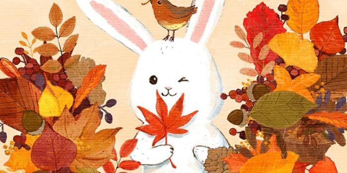 1080x1920 Cute Fall iPhone 13 Wallpaper - Wallpaper HD 2023